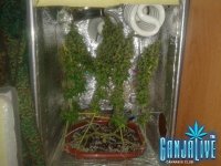 2014-08-20 14-54-33.JPG