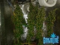 2014-08-20 14-54-43.JPG