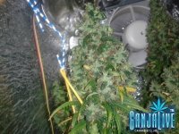 2014-08-20 14-55-12.JPG