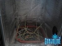 2014-09-02 09-56-37.JPG