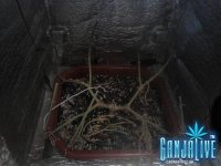 2014-09-02 09-56-48.JPG