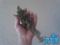 2014-09-02 10-04-48.JPG