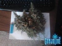 2014-09-02 09-56-03.JPG