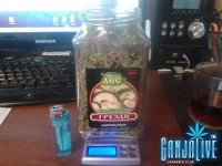 2014-09-02 10-26-22.JPG