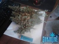 2014-09-02 09-56-25.JPG