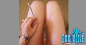 toke-girl-VolaVale-Flickr.png
