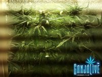 2014-10-02 22.39.59.jpg