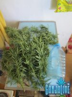 IMG_3680.JPG IMG_3680.JPG