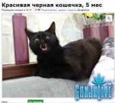 20140409163133.jpg