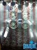 2014-10-23 03.48.50.jpg