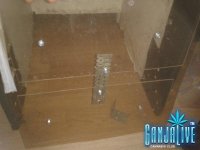 2014-09-20 07.08.01.jpg