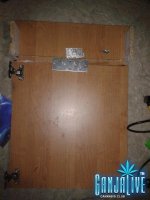 2014-09-26 16.30.29.jpg