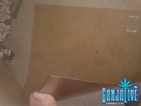 2014-08-06 20.03.11.jpg