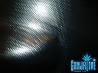 2014-08-21 20.26.32.jpg