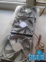 2014-07-29 13.59.14.jpg