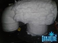 2014-09-05 02.47.28.jpg