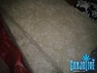 2014-09-29 12.41.11.jpg