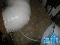 2014-09-30 19.22.04.jpg