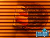 IMG_20141031_101902 (1).jpg