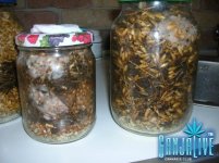 DSCN3892.JPG