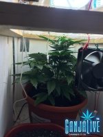 IMG_0164.JPG
