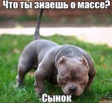 getImage (2).jpg