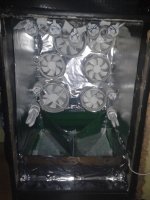 2014-10-21 01.54.03.jpg