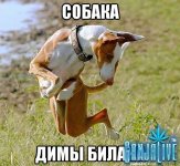 getImage (1).jpg