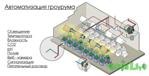 автоматизация гроурума.png