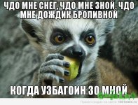 RnodkVkxvrc.jpg