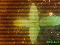 20141230_092906.jpg