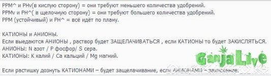 ppm-ph шпора.jpg