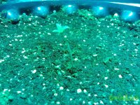 IMG_20141218_203029 (800x600).jpg