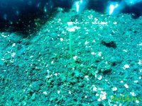 IMG_20141218_203039 (800x600).jpg