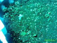 IMG_20141218_203103 (800x600).jpg