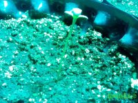 IMG_20141218_203531 (800x600).jpg