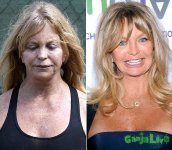 1351101052_goldie-hawn-640.jpg