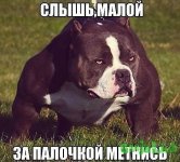 getImage.jpg