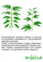 Без назви-1.jpg