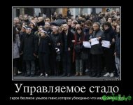 795729_upravlyaemoe-stado_demotivators_to.jpg