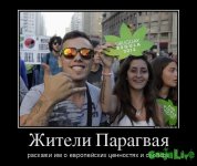 267577_zhiteli-paragvaya_demotivators_to.jpg