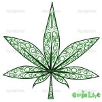 depositphotos_23391596-marijuana-leaf.jpg
