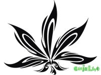 tribal-cannabis-leaf-tattoo-sample.png