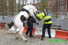 police_kids_05.jpg