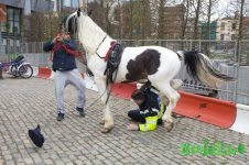 police_kids_03.jpg