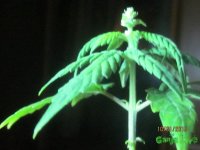 IMG_6347.JPG