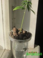 IMG_6437.JPG