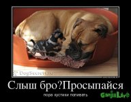 64055_slyish-broprosyipajsya_demotivators_to.jpg