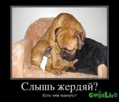 188038_slyish-zherdyaj_demotivators_to.jpg