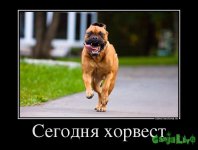 759220_segodnya-horvest_demotivators_to.jpg